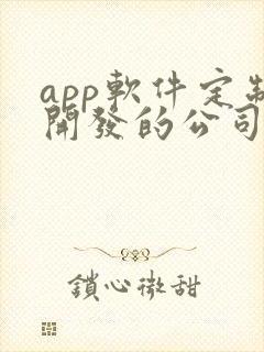 app软件定制开发的公司哪家好
