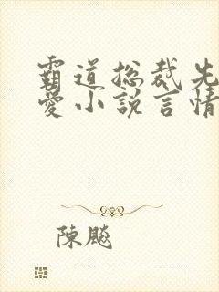 霸道总裁先婚后爱小说言情现代