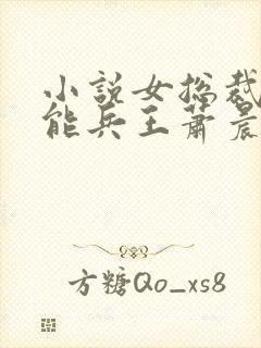 小说女总裁的全能兵王萧晨免费阅读原文 小说女总裁的全能兵王萧晨免费阅读原文