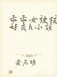 乖乖女被校霸做好爽h小说