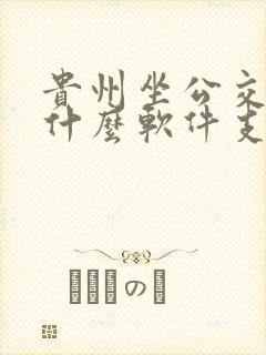 贵州坐公交车用什么软件支付