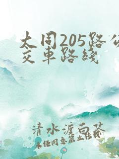 大同205路公交车路线