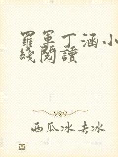 罗军丁涵小说在线阅读