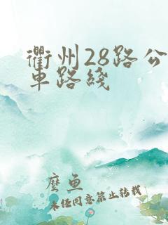 衢州28路公交车路线