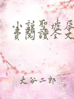 小说圣墟辰东免费阅读全文无窗口