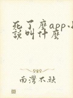死了么app小说叫什么