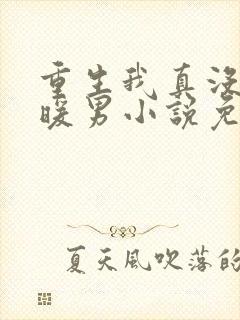 重生我真没想当暖男小说免费阅读全文