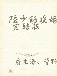 陆少的暖婚新妻 完结版