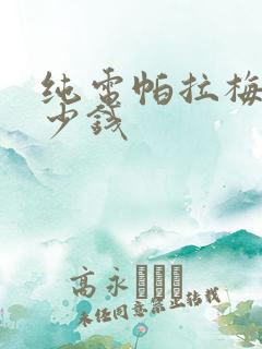 纯电帕拉梅拉多少钱