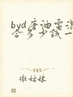 byd唐油电混合多少钱一台