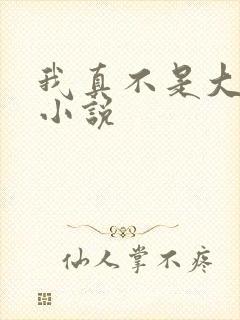 我真不是大佬 小说