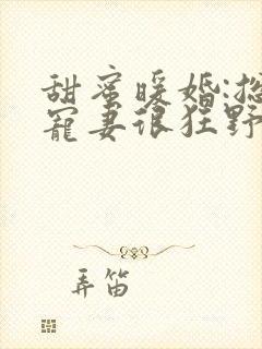 甜蜜暖婚:总裁宠妻很狂野 甜蜜暖婚:总裁宠妻很狂野