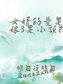 女婿的爱是丈母娘3是小说改编吗