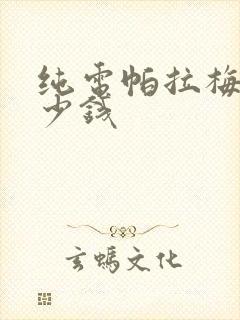 纯电帕拉梅拉多少钱