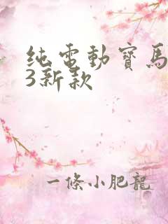 纯电动宝马ix3新款