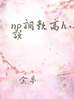 np调教高h小说