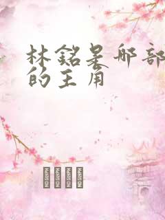 林铭是哪部小说的主角