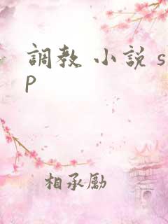 调教 小说 sp