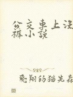 公交车上没穿内裤小说