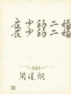 夜少的二婚新妻夜少的二婚新妻