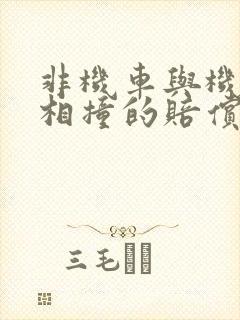 非机车与机动车相撞的赔偿责任