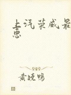 上汽荣威最大优惠