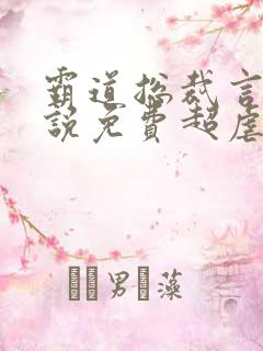 霸道总裁言情小说免费超虐 霸道总裁言情小说免费超虐