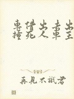 车借出去出车祸撞死人车主有责任吗