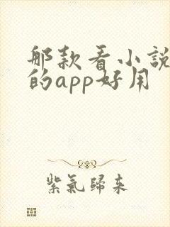 那款看小说免费的app好用 那款看小说免费的app好用