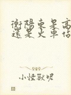 衡阳东是高铁站还是火车站