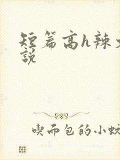 短篇高h辣文小说