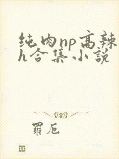 纯肉np高辣文h合集小说