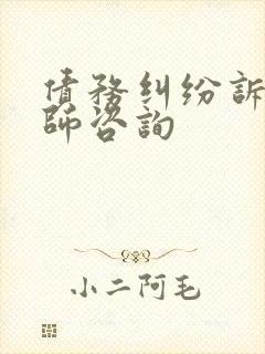 债务纠纷诉讼律师咨询