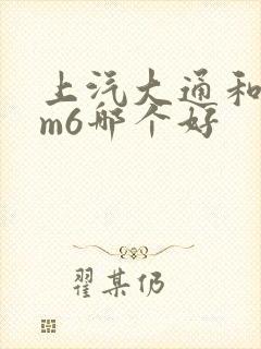 上汽大通和传祺m6哪个好