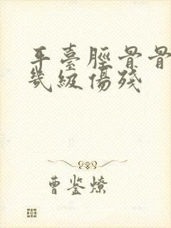 平台胫骨骨折够几级伤残