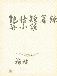 艳情短篇辣文合集小说 艳情短篇辣文合集小说