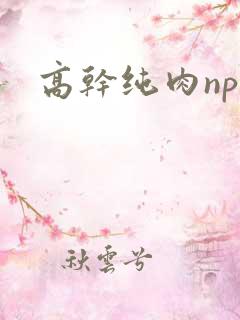 高干纯肉np
