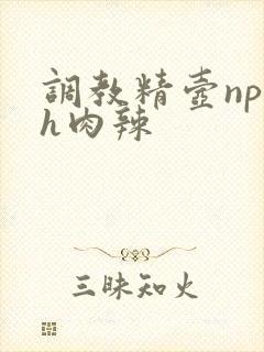 调教精壶np高h肉辣