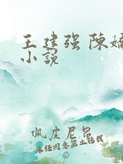 王建强 陈娇娇小说