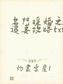 名门暖婚之权爷追妻攻略txt