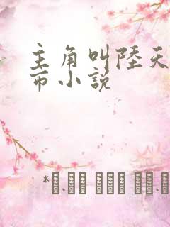 主角叫陆天的都市小说