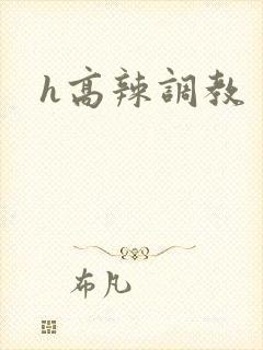 h高辣调教