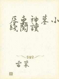 辰东神墓小说在线阅读