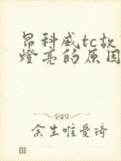 昂科威tc故障灯亮的原因