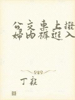 公交车上拨开少妇内裤进入txt