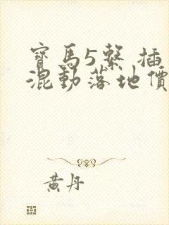宝马5系 插电混动落地价