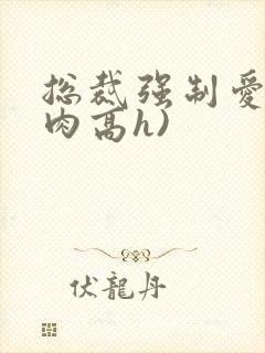 总裁强制爱(巨肉高h)