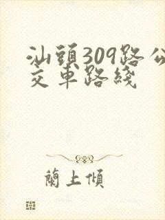 汕头309路公交车路线