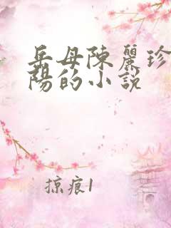 岳母陈丽珍和宋阳的小说