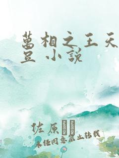 万相之王天蚕土豆 小说